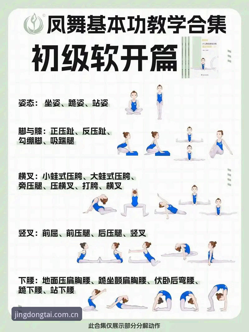 乐竞体育使用教程必备 乐竞体育使用教程必备:从入门到精通的操作指南